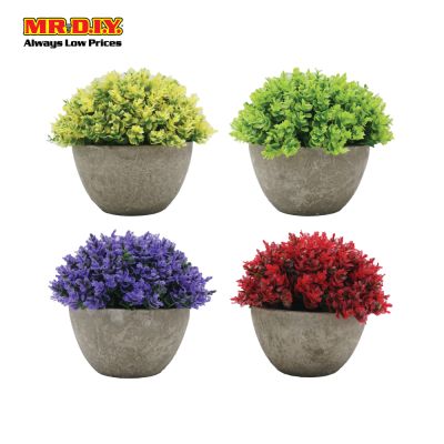 Decoration Plant with Pot